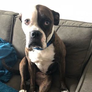 Meet your Posher, Jake